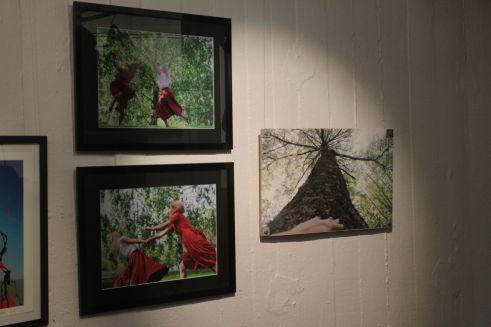 vi lever på jorden på utstilling jan 2016.jpg