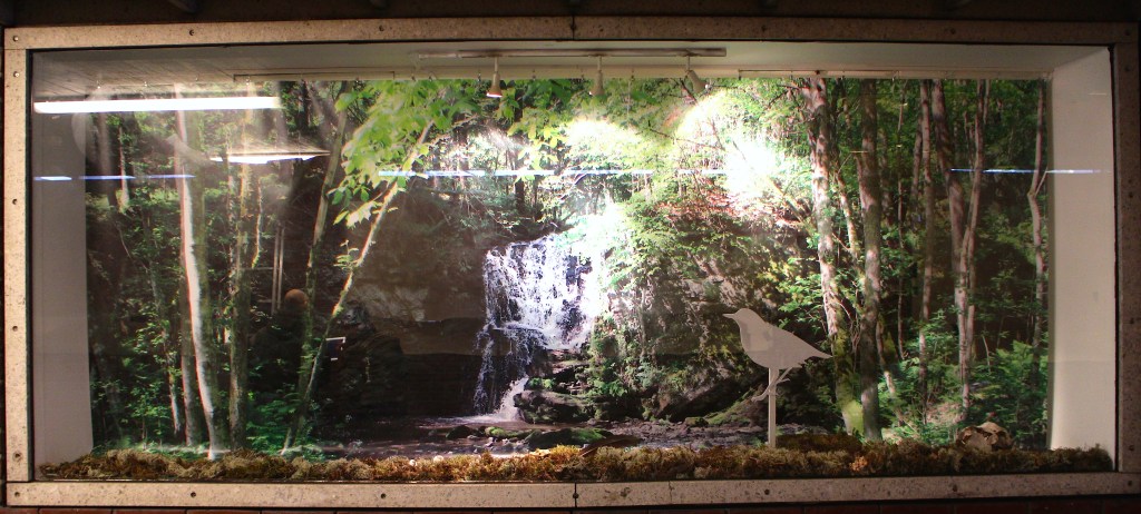 Finalization of the CAN- project  SKOG/FOREST 12.07 –&nbsp;26.10.2015