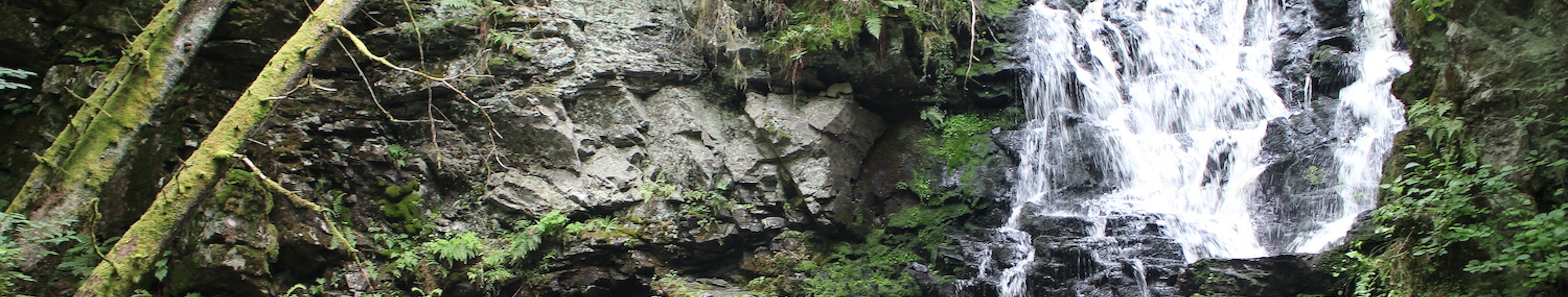 banner-til-fossen-2016-elementer-2