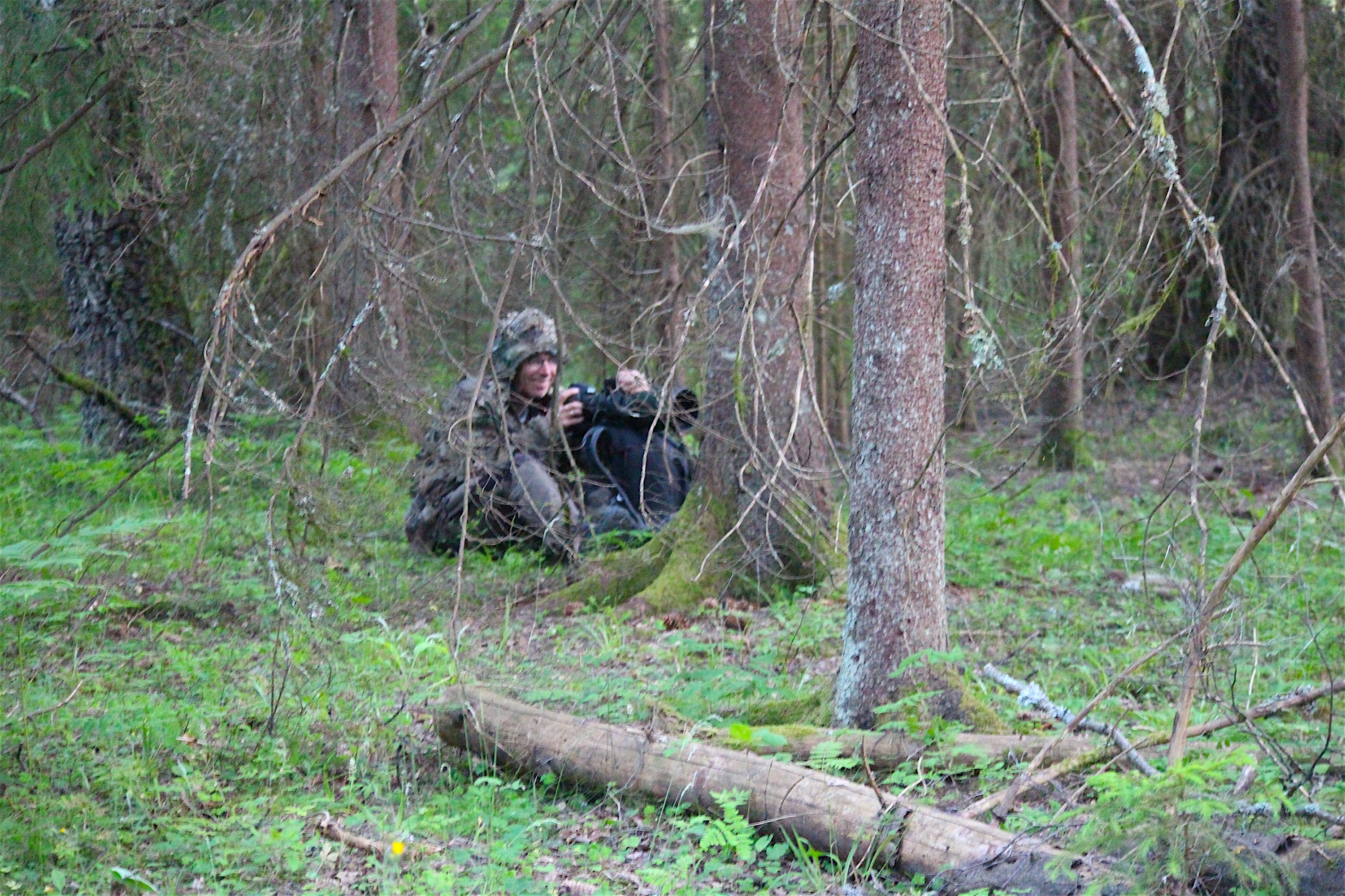 Ornitologen ved dyrehiet 2020