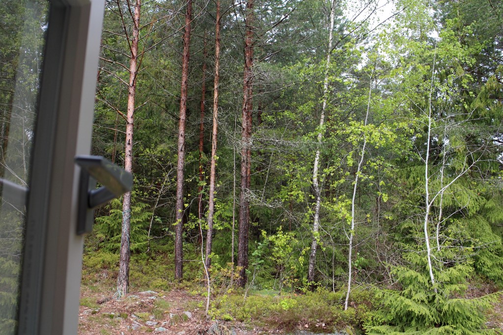 Stortings-koret; øvelser i&nbsp;samspill